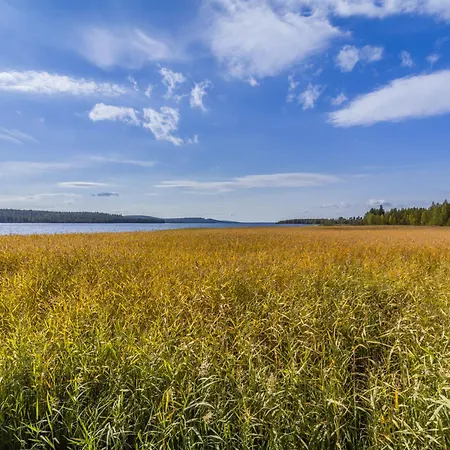Ferienhaus Niittyvilla By Interhome *