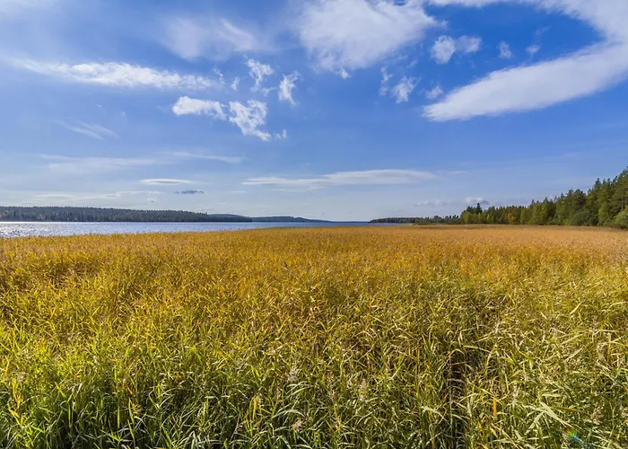 Ferienhaus Niittyvilla By Interhome *